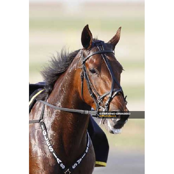 close up for Iglesias winner of Gran Premio Cittˆ di Torino Torino, Vinovo racetrack 5th april 2008 ph. Stefano Grasso
