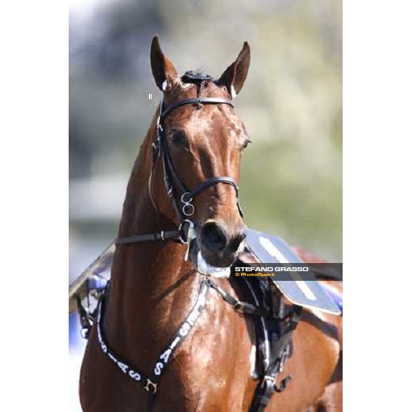Iglesias Torino, Vinovo racetrack, 5th april 2008 ph. Stefano Grasso