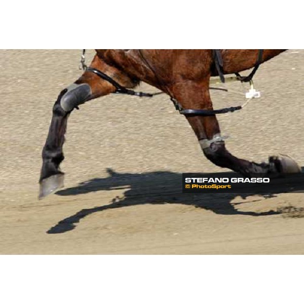 racing at Vinovo Torino, Vinovo racetrack, 5th april 2008 ph. Stefano Grasso