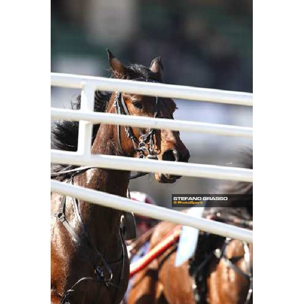 start at Vinovo Torino, Vinovo racetrack, 5th april 2008 ph. Stefano Grasso