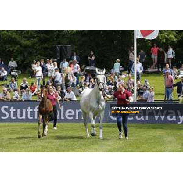 LGCT of Hamburg - Foal presentation - Hamburg, Derby Park, 10 May 2018 - ph.Stefano Grasso/LGCT