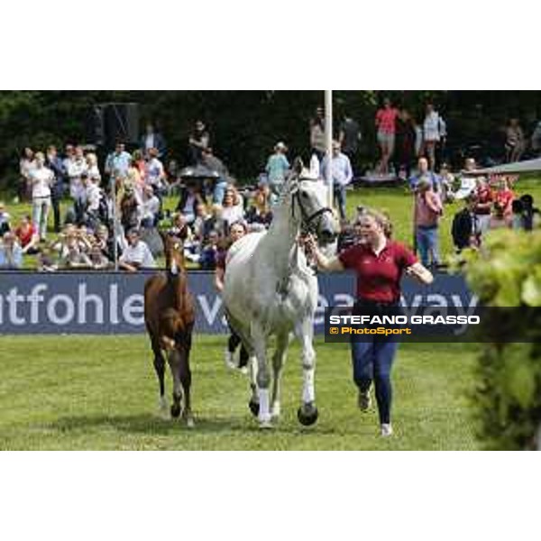 LGCT of Hamburg - Foal presentation - Hamburg, Derby Park, 10 May 2018 - ph.Stefano Grasso/LGCT