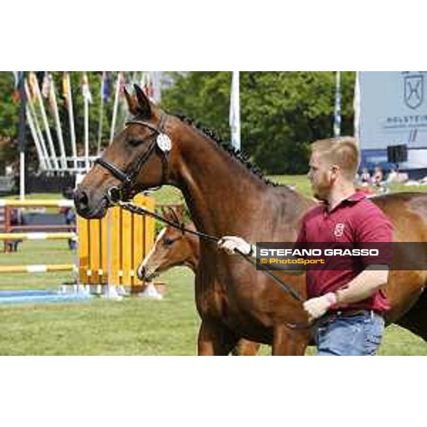 LGCT of Hamburg - Foal presentation - Hamburg, Derby Park, 10 May 2018 - ph.Stefano Grasso/LGCT
