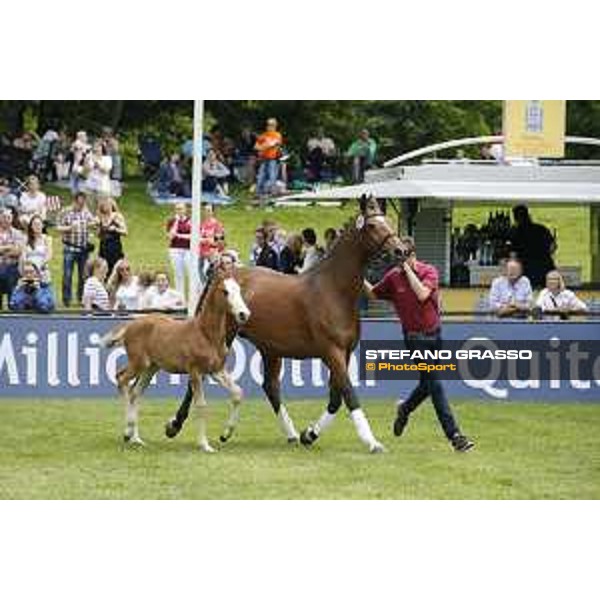 LGCT of Hamburg - Foal presentation - Hamburg, Derby Park, 10 May 2018 - ph.Stefano Grasso/LGCT