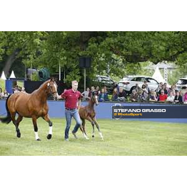LGCT of Hamburg - Foal presentation - Hamburg, Derby Park, 10 May 2018 - ph.Stefano Grasso/LGCT
