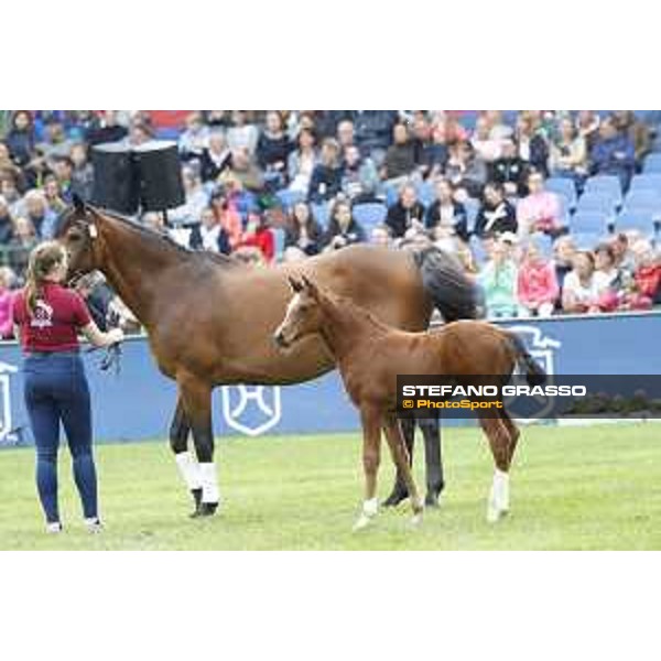 LGCT of Hamburg - Foal presentation - Hamburg, Derby Park, 10 May 2018 - ph.Stefano Grasso/LGCT