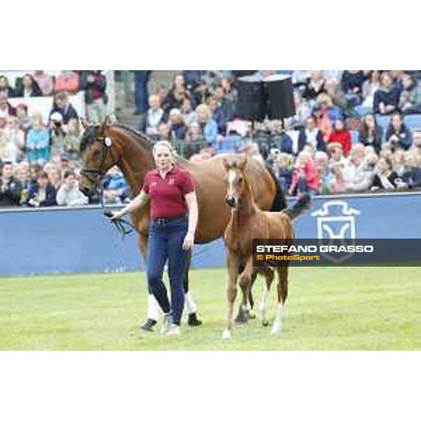 LGCT of Hamburg - Foal presentation - Hamburg, Derby Park, 10 May 2018 - ph.Stefano Grasso/LGCT
