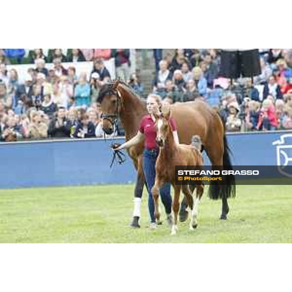 LGCT of Hamburg - Foal presentation - Hamburg, Derby Park, 10 May 2018 - ph.Stefano Grasso/LGCT