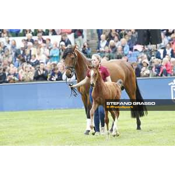 LGCT of Hamburg - Foal presentation - Hamburg, Derby Park, 10 May 2018 - ph.Stefano Grasso/LGCT