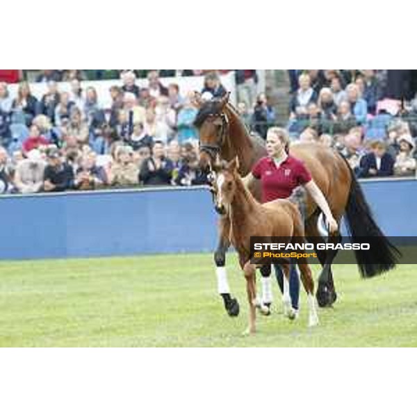 LGCT of Hamburg - Foal presentation - Hamburg, Derby Park, 10 May 2018 - ph.Stefano Grasso/LGCT
