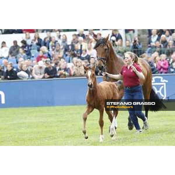 LGCT of Hamburg - Foal presentation - Hamburg, Derby Park, 10 May 2018 - ph.Stefano Grasso/LGCT