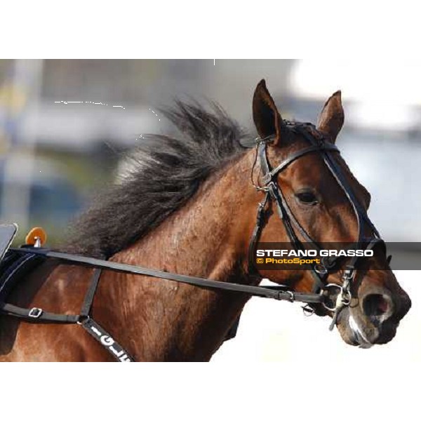 Iglesias Torino, Vinovo racetrack, 5th april 2008 ph. Stefano Grasso