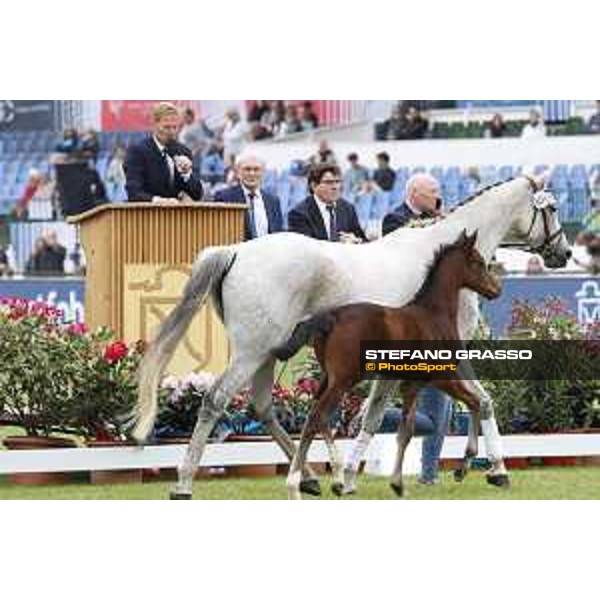 LGCT of Hamburg - Foal presentation - Hamburg, Derby Park, 10 May 2018 - ph.Stefano Grasso/LGCT