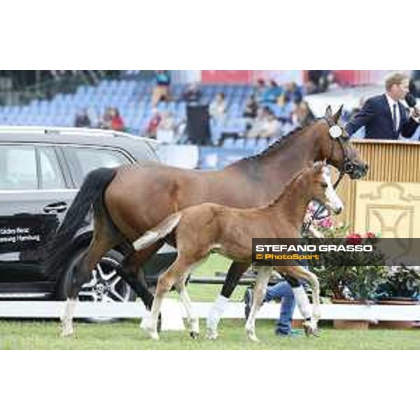LGCT of Hamburg - Foal presentation - Hamburg, Derby Park, 10 May 2018 - ph.Stefano Grasso/LGCT