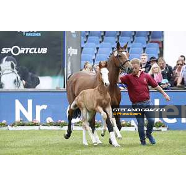 LGCT of Hamburg - Foal presentation - Hamburg, Derby Park, 10 May 2018 - ph.Stefano Grasso/LGCT