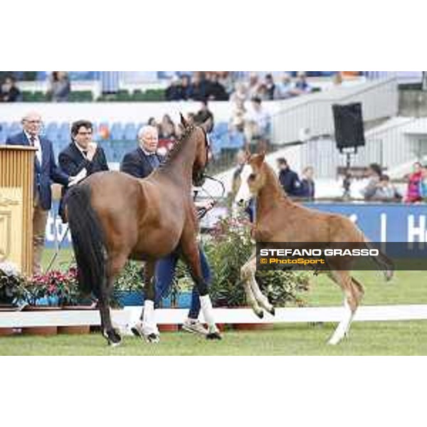 LGCT of Hamburg - Foal presentation - Hamburg, Derby Park, 10 May 2018 - ph.Stefano Grasso/LGCT