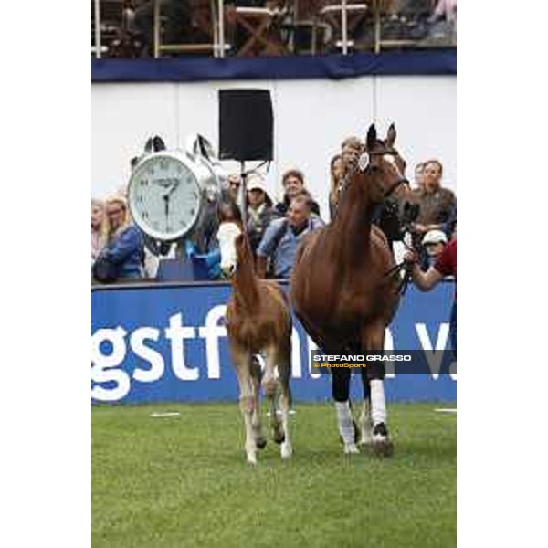 LGCT of Hamburg - Foal presentation - Hamburg, Derby Park, 10 May 2018 - ph.Stefano Grasso/LGCT
