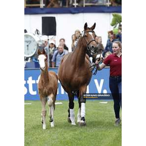 LGCT of Hamburg - Foal presentation - Hamburg, Derby Park, 10 May 2018 - ph.Stefano Grasso/LGCT