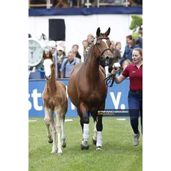 LGCT of Hamburg - Foal presentation - Hamburg, Derby Park, 10 May 2018 - ph.Stefano Grasso/LGCT