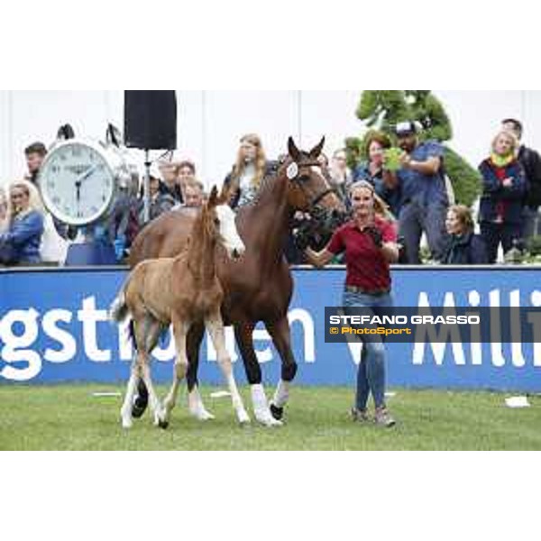 LGCT of Hamburg - Foal presentation - Hamburg, Derby Park, 10 May 2018 - ph.Stefano Grasso/LGCT