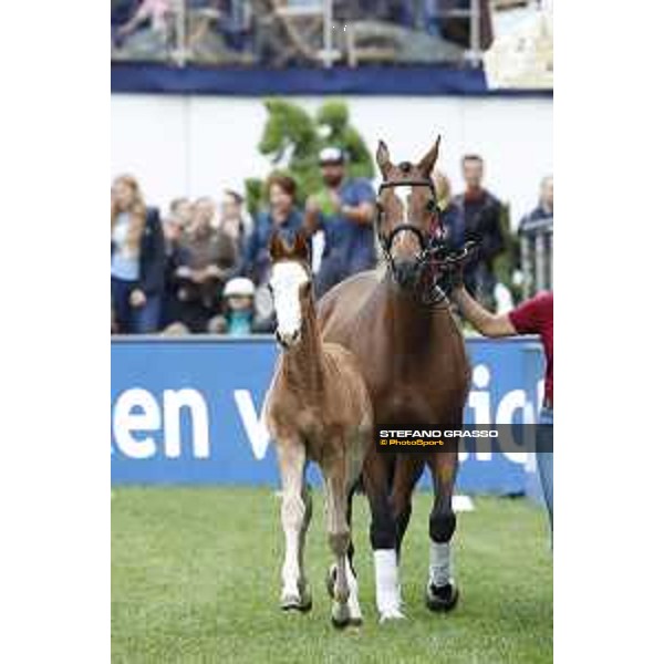 LGCT of Hamburg - Foal presentation - Hamburg, Derby Park, 10 May 2018 - ph.Stefano Grasso/LGCT