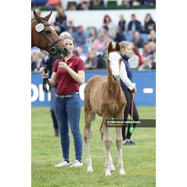 LGCT of Hamburg - Foal presentation - Hamburg, Derby Park, 10 May 2018 - ph.Stefano Grasso/LGCT