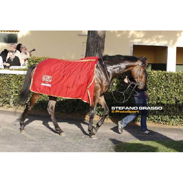 Gimmy winner of the Premio Regione Toscvana - Def“ du Galop Pisa San Rossore, 30th march 2008 ph. Stefano Grasso