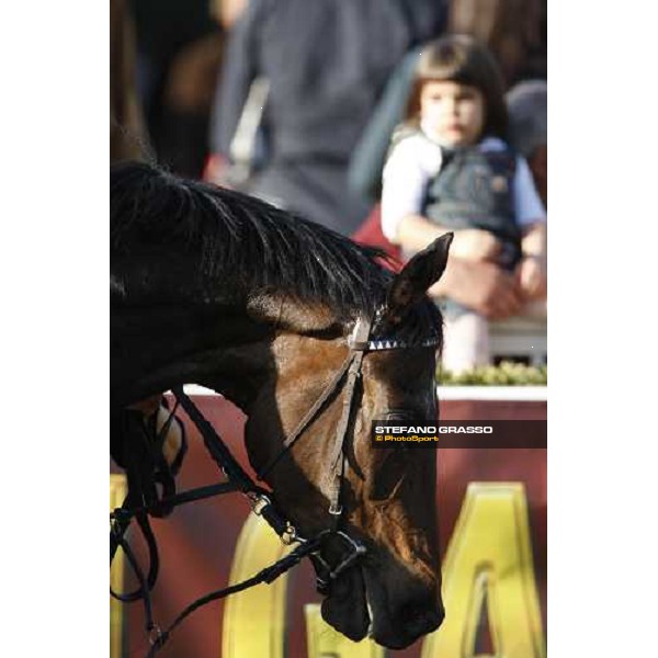 close up for Gimmy winner of Premio Regione Toscana - Def“ du Galop Pisa San Rossore, 30th march 2008 ph. Stefano Grasso