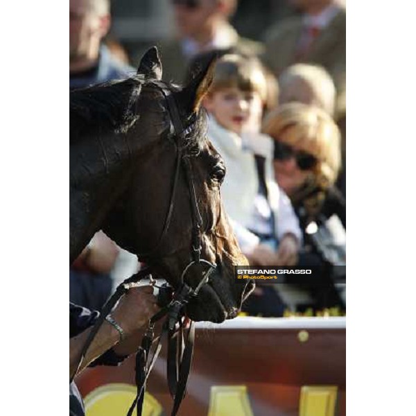 close up for Gimmy winner of Premio Regione Toscana - Def“ du Galop Pisa San Rossore, 30th march 2008 ph. Stefano Grasso