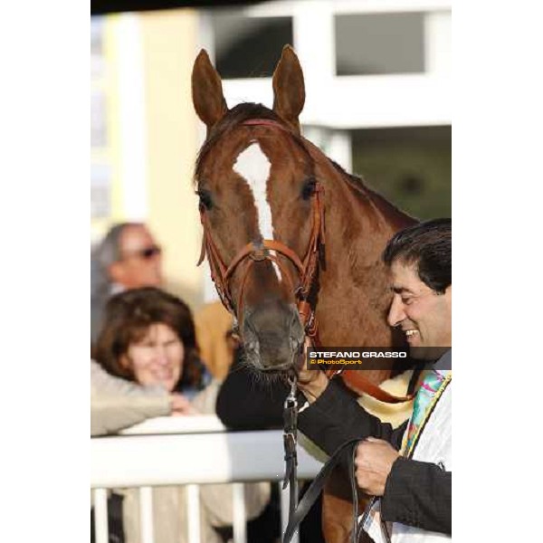 close up for Eldest before winning the 118¡ Premio Pisa Pisa San Rossore, 30th march 2008 ph. Stefano Grasso