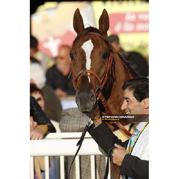 close up for Eldest before winning the 118¡ Premio Pisa Pisa San Rossore, 30th march 2008 ph. Stefano Grasso