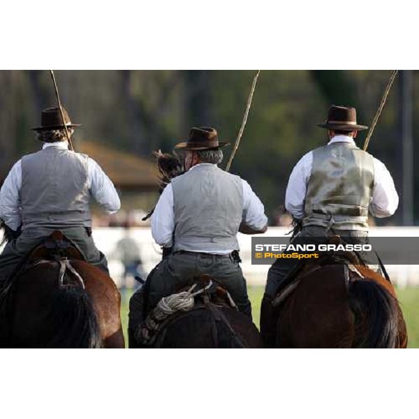 the show of \'Maremmani\' at San Rossore Pisa San Rossore, 30th march 2008 ph. Stefano Grasso