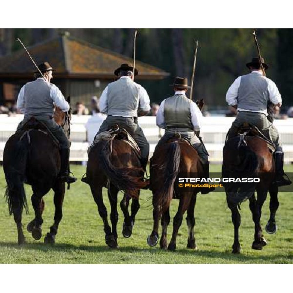 the show of \'Maremmani\' at San Rossore Pisa San Rossore, 30th march 2008 ph. Stefano Grasso