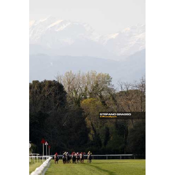 the straight of 118¡ Premio Pisa Pisa San Rossore, 30th march 2008 ph. Stefano Grasso