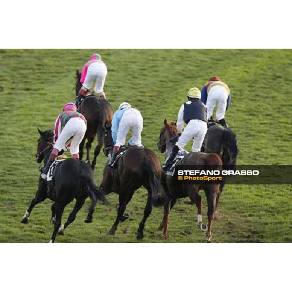 a group of horses immediately after the finish Pisa San Rossore, 30th march 2008 ph. Stefano Grasso