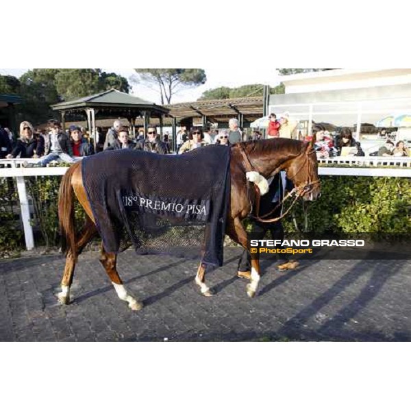 Eldest parades after winning the 118¡ Premio Pisa Pisa San Rossore, 30th march 2008 ph. Stefano Grasso