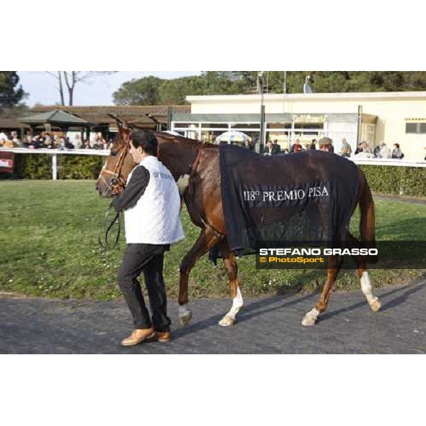 Eldest parading after winning the 118¡ Premio Pisa Pisa San Rossore, 30th march 2008 ph. Stefano Grasso
