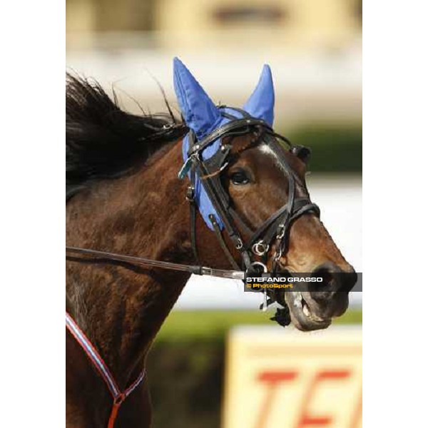 close up for Letter from Om Bologna, 13th april 2008 ph. Stefano Grasso