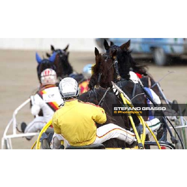 the horses of Gran Premio Italiai immediately after the start Bologna, 13th april 2008 ph. Stefano Grasso