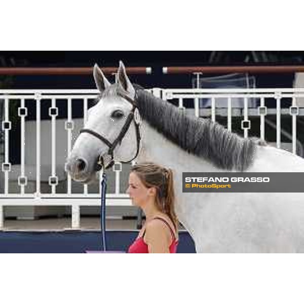 LGCT of St Tropez - Vet check - Cevrine du Banney Z - St Tropez, Ramatuelle beach - 30 May 2018 - ph.Stefano Grasso/LGCT