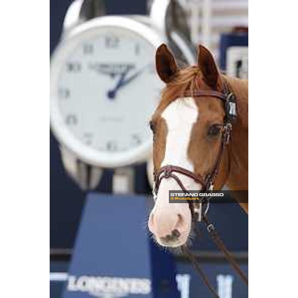 LGCT of St Tropez - Vet check - Viking - St Tropez, Ramatuelle beach - 30 May 2018 - ph.Stefano Grasso/LGCT