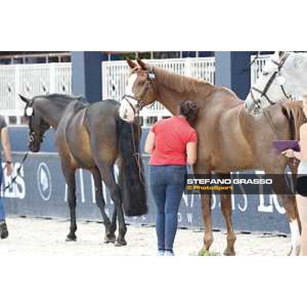 LGCT of St Tropez - Vet check - Viking - St Tropez, Ramatuelle beach - 30 May 2018 - ph.Stefano Grasso/LGCT