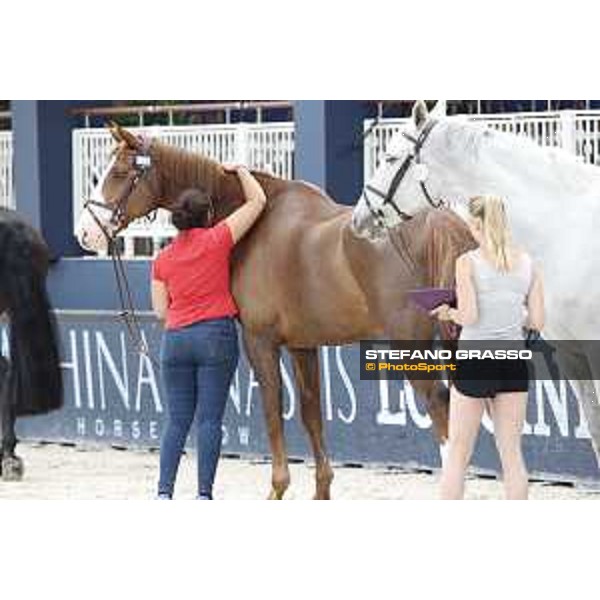 LGCT of St Tropez - Vet check - Viking - St Tropez, Ramatuelle beach - 30 May 2018 - ph.Stefano Grasso/LGCT