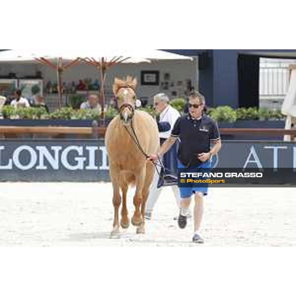 LGCT of St Tropez - Vet check - Whitney - St Tropez, Ramatuelle beach - 30 May 2018 - ph.Stefano Grasso/LGCT