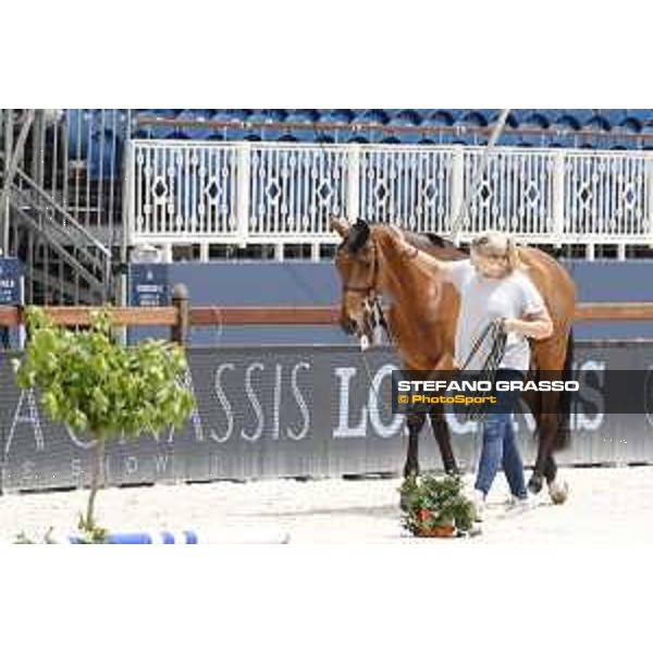 LGCT of St Tropez - Vet check - California - St Tropez, Ramatuelle beach - 30 May 2018 - ph.Stefano Grasso/LGCT