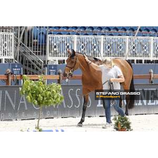 LGCT of St Tropez - Vet check - California - St Tropez, Ramatuelle beach - 30 May 2018 - ph.Stefano Grasso/LGCT