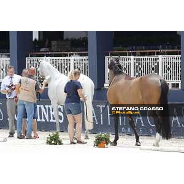 LGCT of St Tropez - Vet check - St Tropez, Ramatuelle beach - 30 May 2018 - ph.Stefano Grasso/LGCT