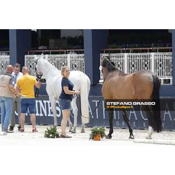 LGCT of St Tropez - Vet check - St Tropez, Ramatuelle beach - 30 May 2018 - ph.Stefano Grasso/LGCT