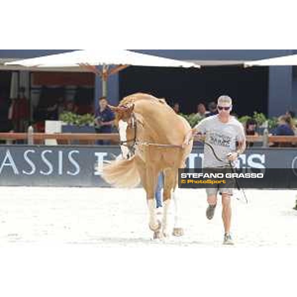 LGCT of St Tropez - Vet check - Apart - St Tropez, Ramatuelle beach - 30 May 2018 - ph.Stefano Grasso/LGCT