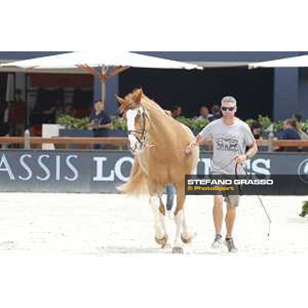 LGCT of St Tropez - Vet check - Apart - St Tropez, Ramatuelle beach - 30 May 2018 - ph.Stefano Grasso/LGCT
